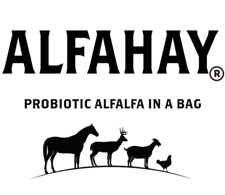 Learn more about AlphaHay